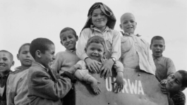 Jüdische Filmtage