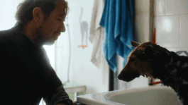 Jüdische Filmtage